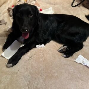 Meet your Posher, Ana.